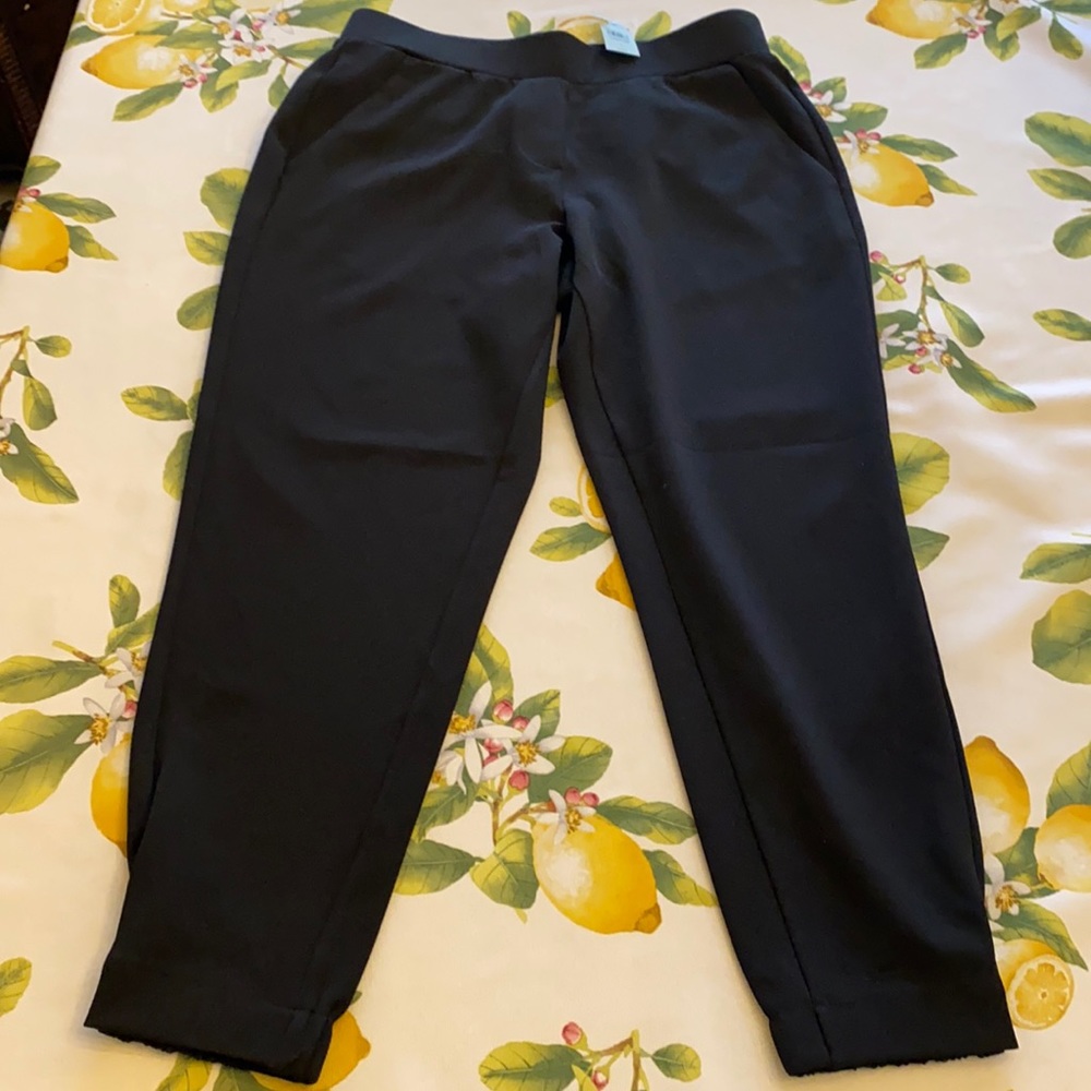Loft pants